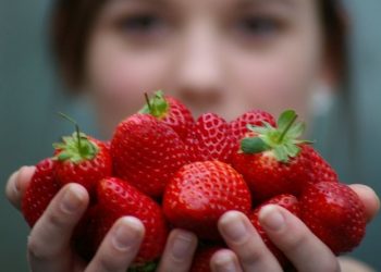 Osam razloga zbog kojih bi trebali jesti jagode
