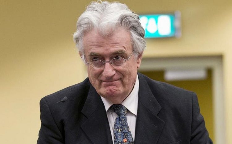 Počinje žalbena rasprava u predmetu Karadžić, presuda do kraja godine