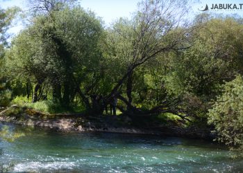 Mladi započeli uređivati širokobriješku oazu