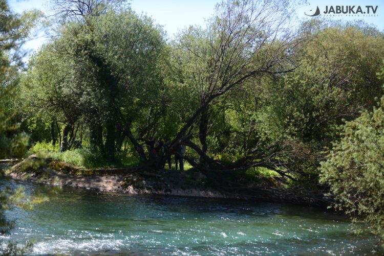 Mladi započeli uređivati širokobriješku oazu