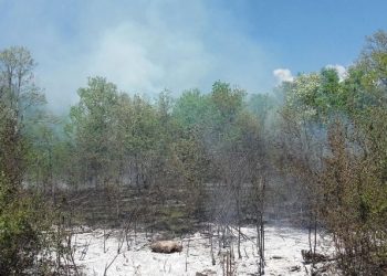 Široki Brijeg: Vatrogasci uspješno ugasili požar na Trnu