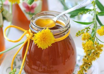 Top 10 napitaka koji tope salo