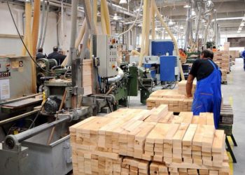 BDP će na godišnjoj razini rasti više od 5, a zaposlenost 2,5 posto