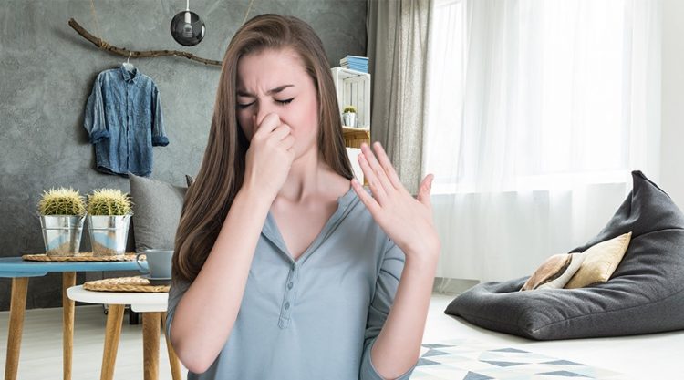 Evo kako se riješiti neugodnih mirisa u stanu – brzo i lagano