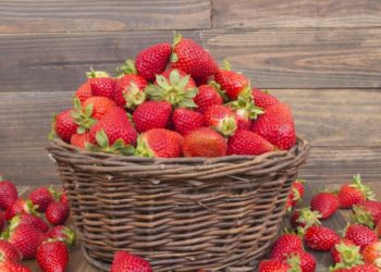 Jagode jačaju imunitet, potiču mršavljenje i čiste krv