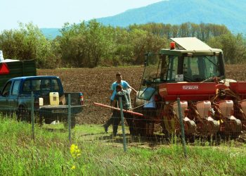 Da bi došli do fondova EU-a, poljoprivrednici moraju biti registrirani i u sustavu PDV-a