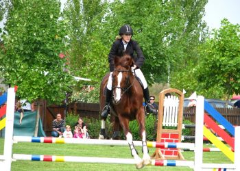 Senzacija za posjetitelje konjičkog turnira u Grudama