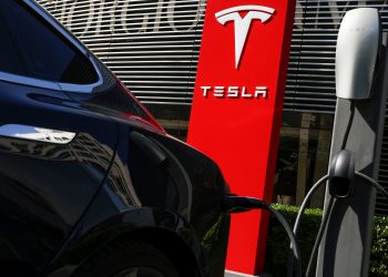 Teslini ‘medvjedi’ dočekali ove godine i prvu zaradu