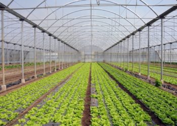 HNŽ: Prijave za poticaje možete predati najkasnije do 4.6.2018.!