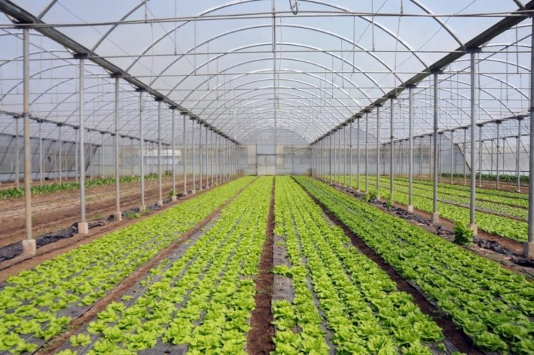 HNŽ: Prijave za poticaje možete predati najkasnije do 4.6.2018.!