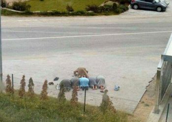 Tomislavgrad: Šest muškaraca klanjalo nasred parkirališta