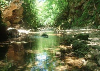 Priče kroz Mostar i Hercegovinu: Teuta je u Borku zaspala