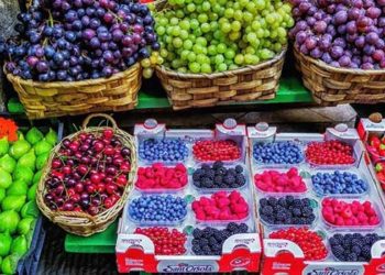 Hrvatima u BiH ne treba milostinja