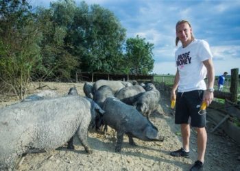 Četvorica kolega s Domagojem Vidom uzgajaju svinje u Slavoniji