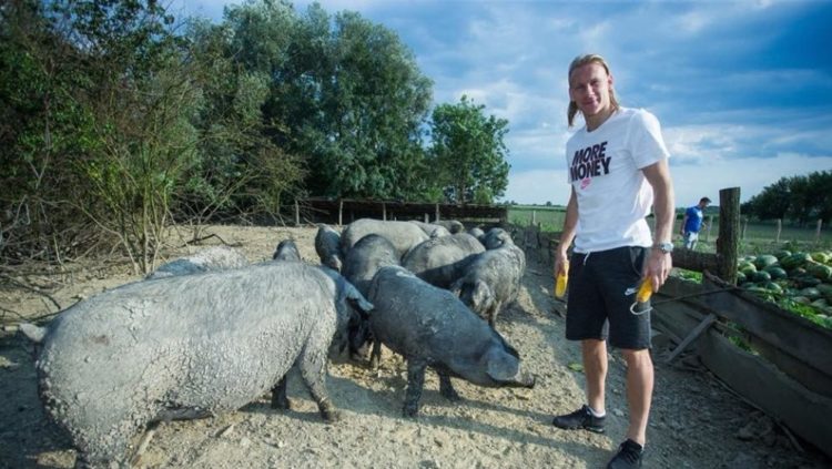 Četvorica kolega s Domagojem Vidom uzgajaju svinje u Slavoniji