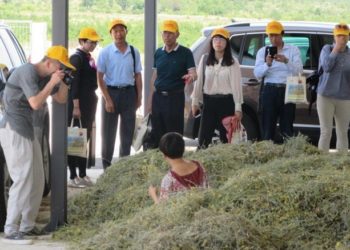 Za proizvođače iz BiH otvara se veliko kinesko tržište