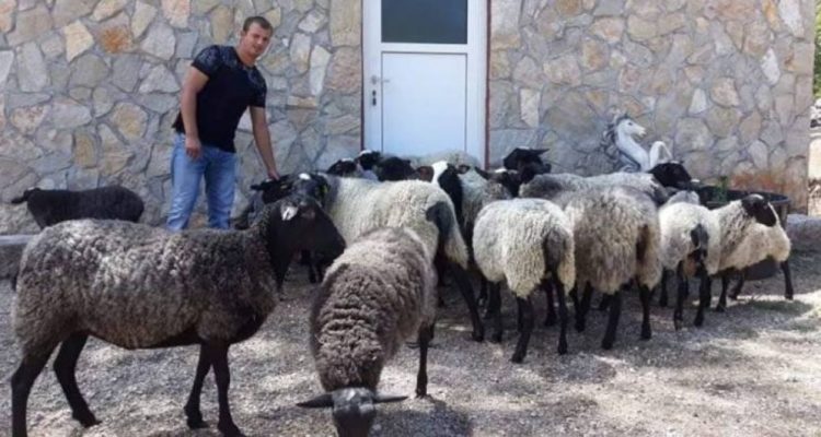 Ne bježite iz Hercegovine, ovdje je Njemačka