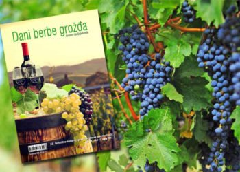 Broćanska udruga mladih priprema hercegovačke proizvode za Dane berbe grožđa