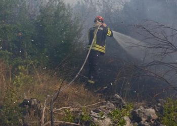 Ljubuški: Ponovno izbio požar na Bučinama, pogledajte akciju gašenja