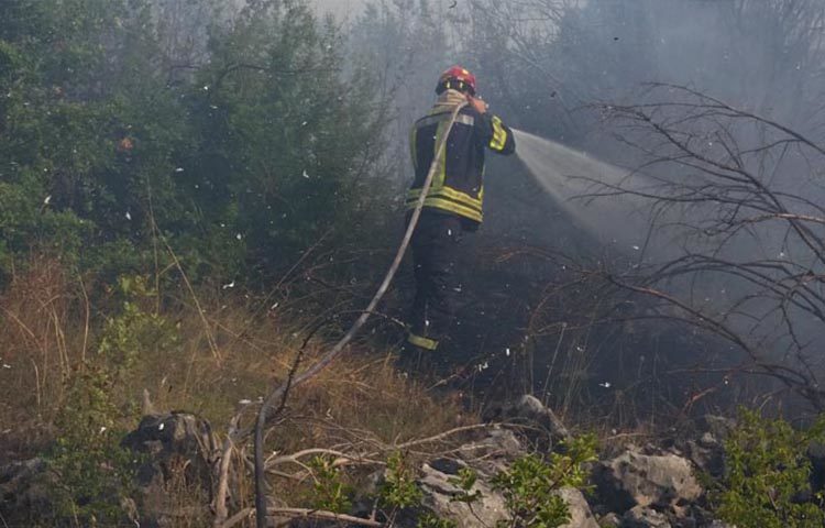 Ljubuški: Ponovno izbio požar na Bučinama, pogledajte akciju gašenja