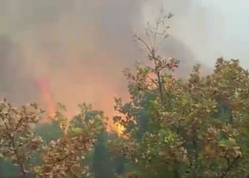 Vatra kod Čitluka ugašena, drama okončana