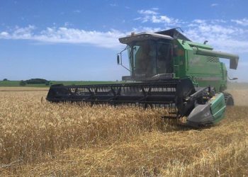 U samo godini dana u BiH registrirano gotovo 12.000 novih gospodarstava