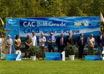 Više od 350 pasa i 100 pasmina na izložbi u Grudama