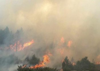 Vatrena linija duga 400 metara širi se prema selu Orah u Ravnom