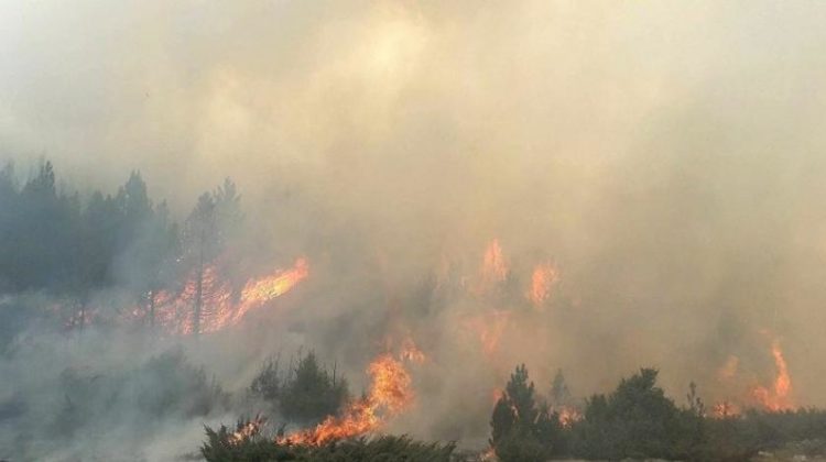 Vatrena linija duga 400 metara širi se prema selu Orah u Ravnom