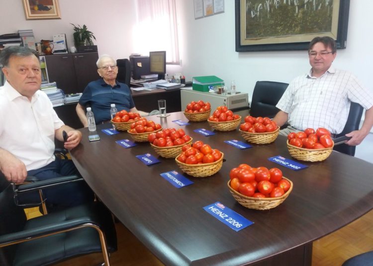 Pojedini usjevi u Hercegovini daju više od 100 tona rajčice po hektaru