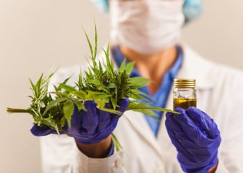 BiH bi uskoro mogla legalizirati kanabis