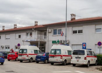 Grude: Mladić preživio oko 90 uboda stršljena