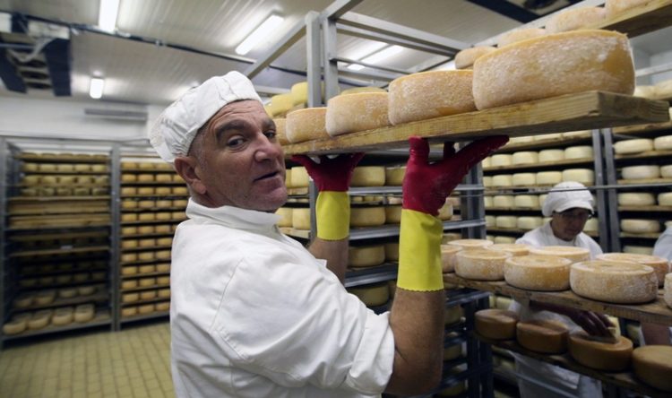 Paški sir nije za svačiji džep, pa čak ni u Americi: ‘Njega treba prodati uz priču’