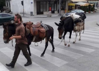 Putuje iz Švicarske sa mulama do Blidinja