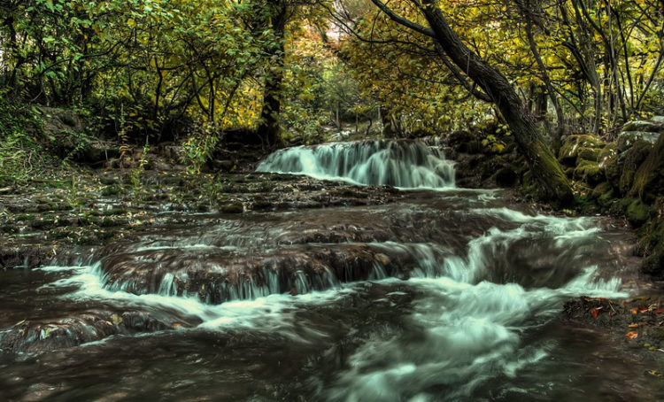 U Ljubuškom radionica o očuvanju slivova u Hercegovini