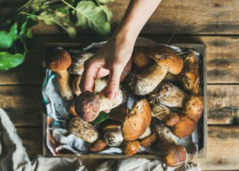 Pohane gljive: Recept zbog kojeg ćete zaboraviti na meso