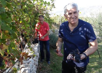 Čović: Moramo cijeniti ono što je plod Hercegovine