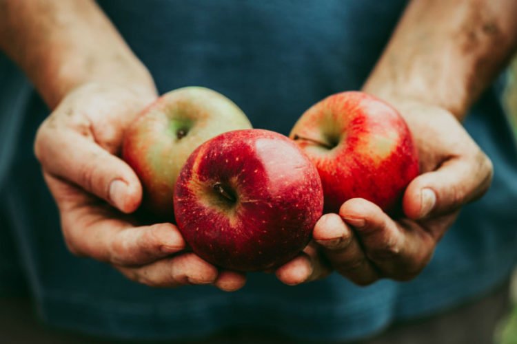 4 namirnice koje imaju najbolji okus u 10. mjesecu
