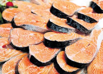 Zarađuju milijune eura na izvozu norveškog lososa