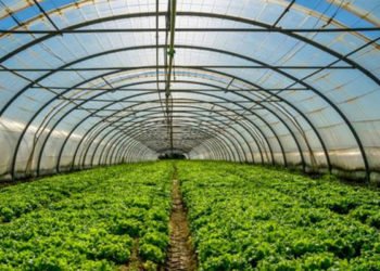 Ljubuški: Javni poziv za predaju zahtjeva za dodjelu plastenika