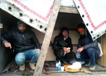 Vozio iz Livna pa u Šibeniku ugledao migrante u svom kamionu