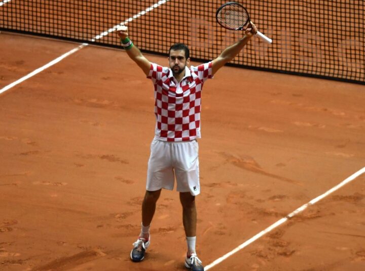 Čilić pobijedio, Hrvatska osvojila Davis cup!
