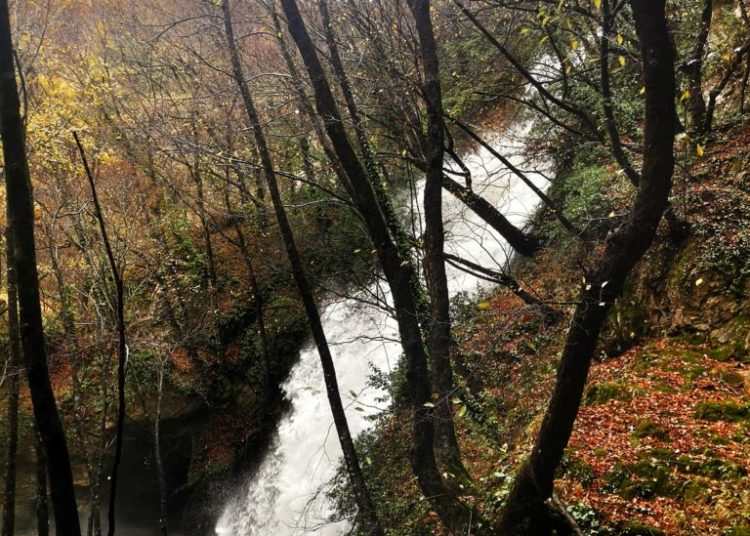 Žukovica – Posuški dragulj koji prkosi vremenu