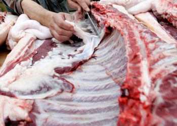 Počela sezona svinjokolja: Svinje prodaju po 2,4 KM/kg, potražnja nikad manja