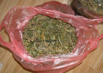 U Grudama zaplijenjeno 2 kg marihuane