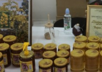 Međunarodni pčelarski sajam „IV. Dani hercegovačkog meda, Mostar-2018“