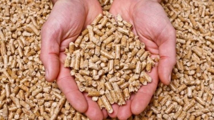 U Delnicama se gradi najmodernija tvornica peleta u Europi kroz investiciju od 85 milijuna kuna