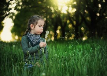 Ljudi okruženi zelenilom imaju zdraviji krvožilni sustav