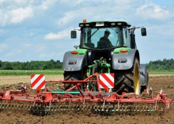 Ljubuška poljoprivreda: Potrebno više raditi na brendiranju proizvoda