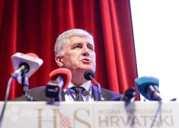 HNS BiH jednoglasno usvojio Deklaraciju, Čović izabran za predsjednika